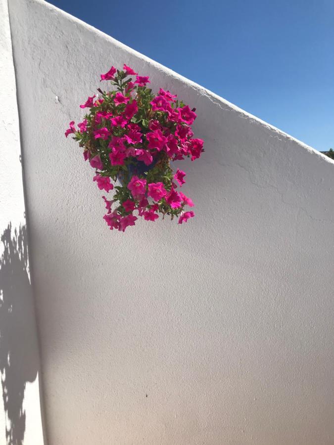 Bonita Casa adosada Ampuriabrava Exterior foto